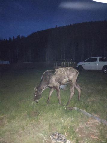 60 Smith Road Bailey CO 80421