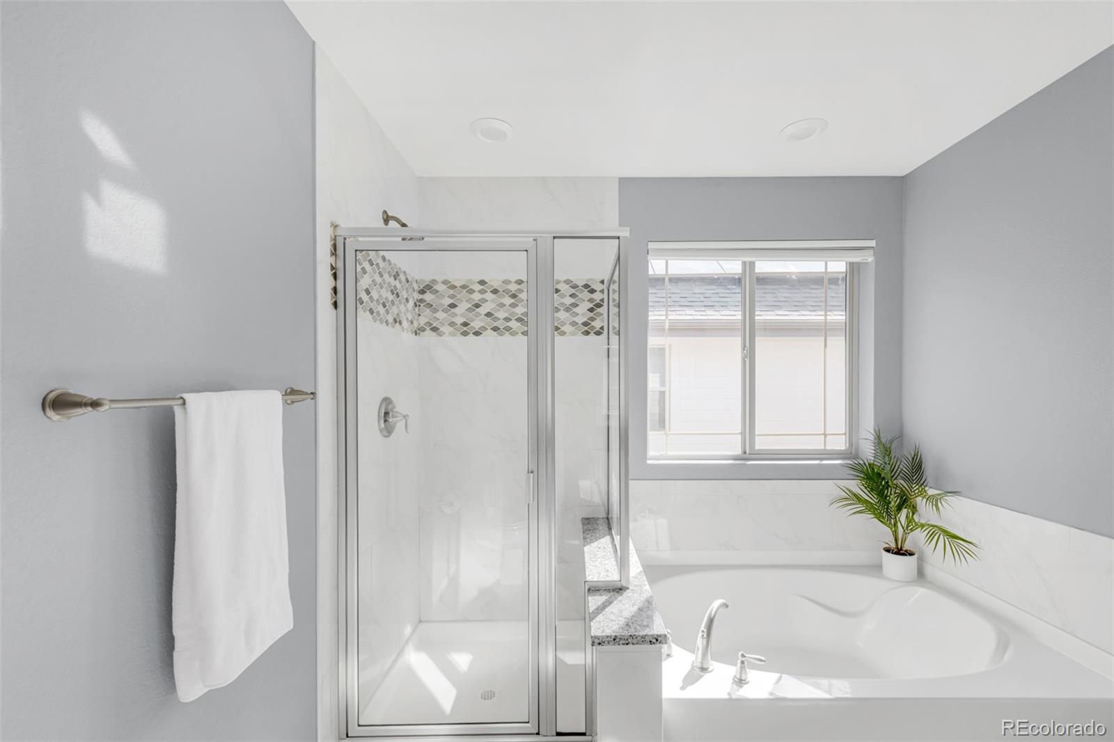 5925 Alton Street Denver CO 80238