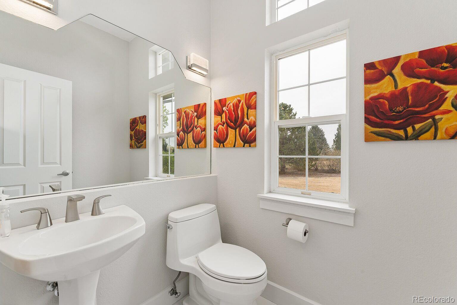 107 Blue Heron Court Mead CO 80542