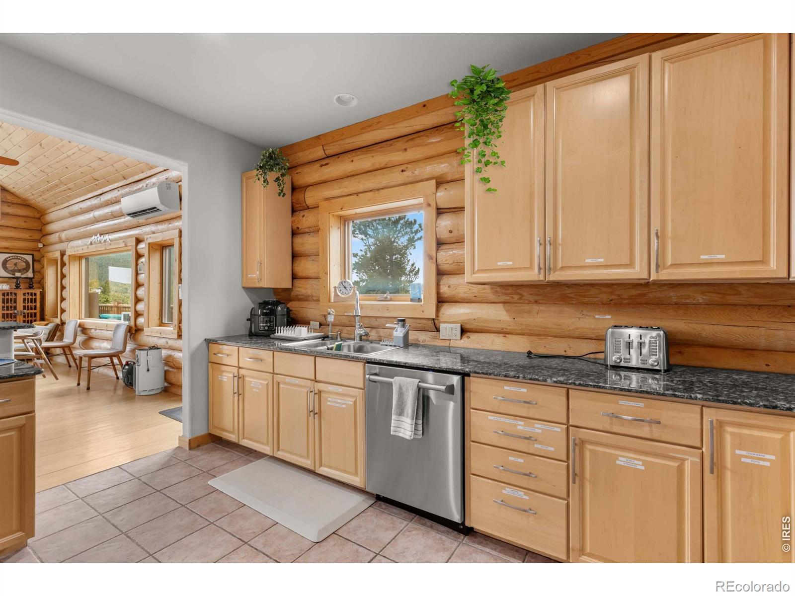 1028 Rudi Lane Golden CO 80403