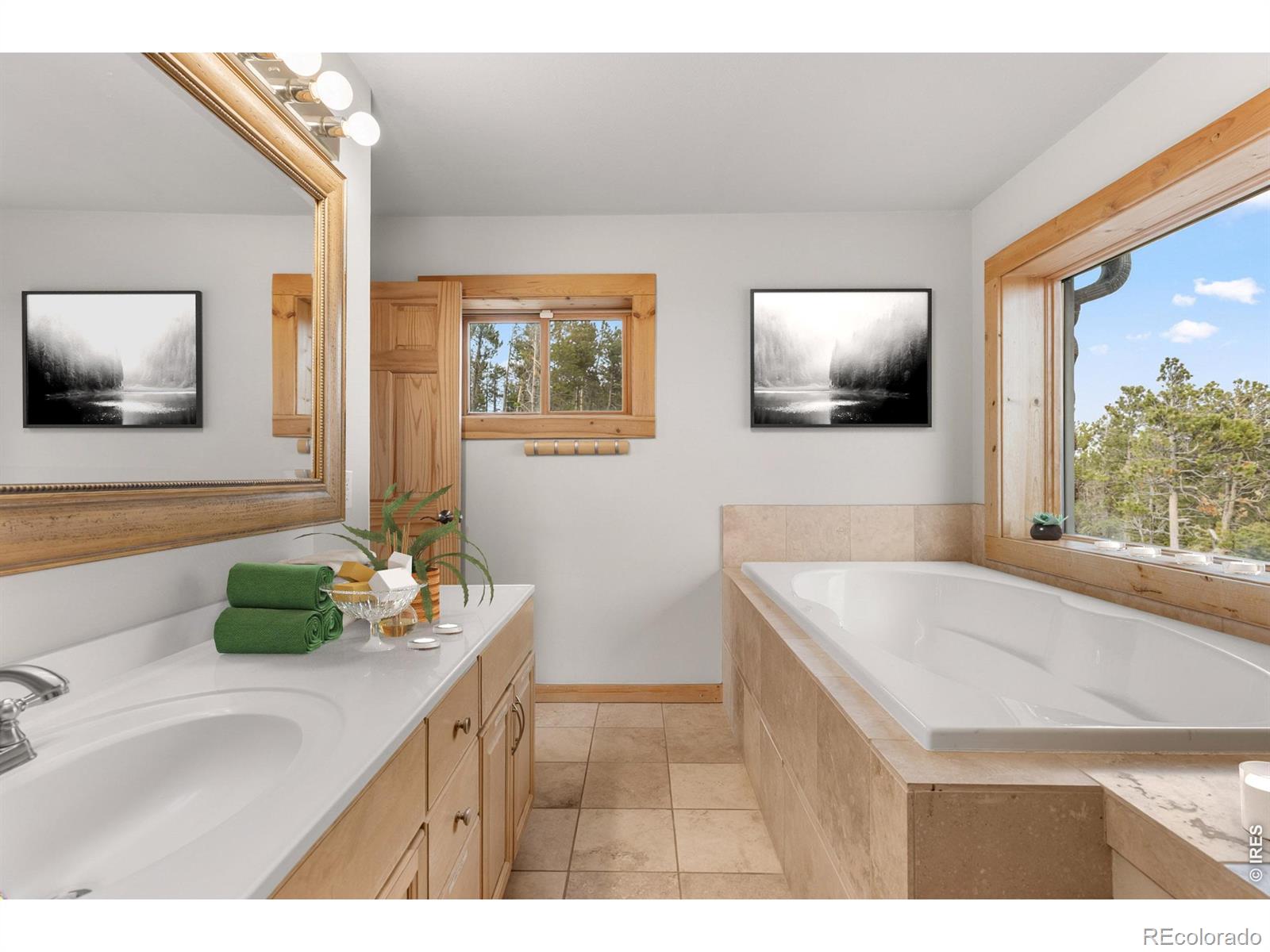 1028 Rudi Lane Golden CO 80403