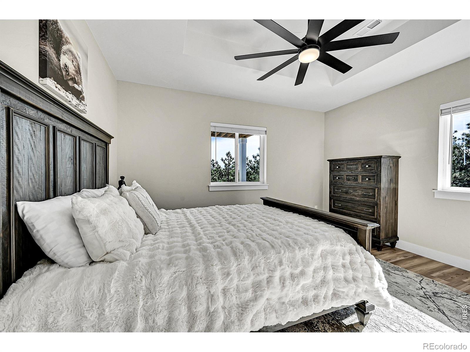4163 Rainbow View Lane Loveland CO 80537