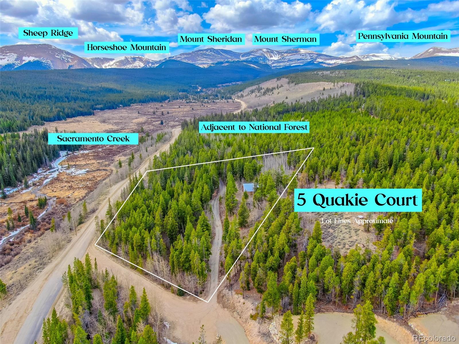 5 Quakie Court Fairplay CO 80440