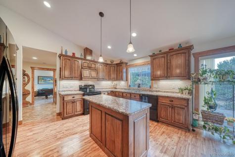 15550 Silver Tip Court Buena Vista CO 81211