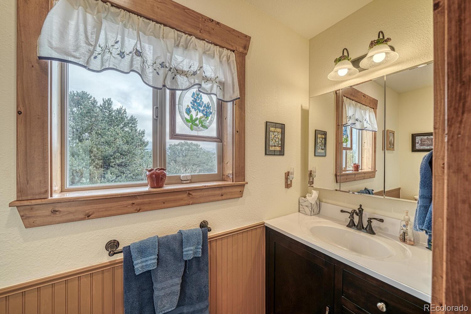 15550 Silver Tip Court Buena Vista CO 81211