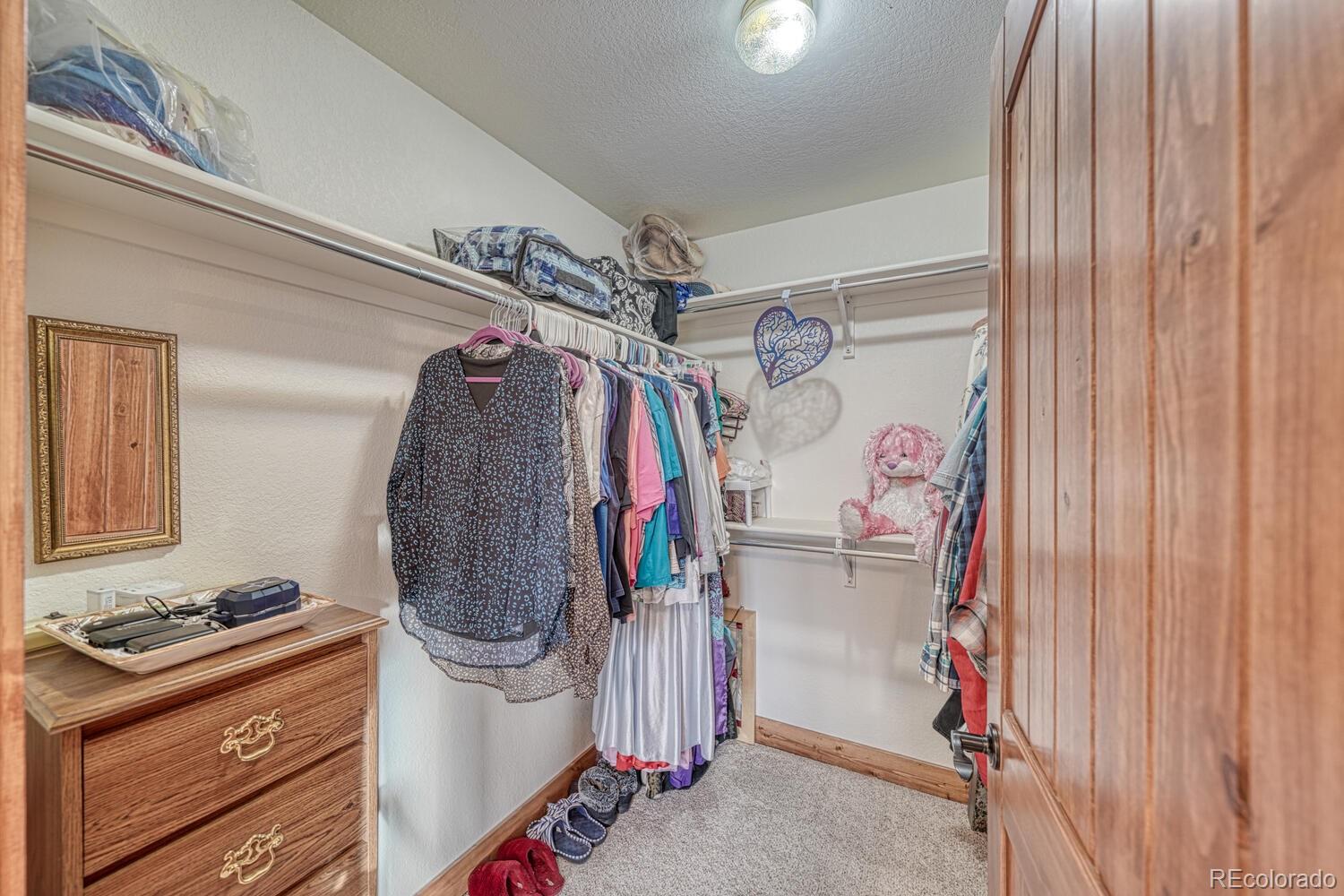 15550 Silver Tip Court Buena Vista CO 81211