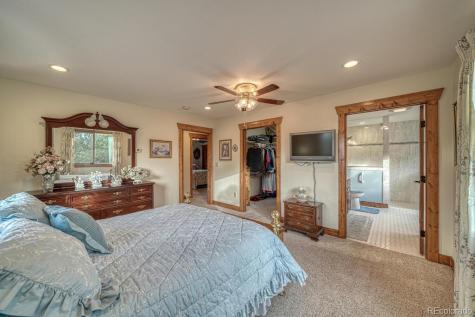 15550 Silver Tip Court Buena Vista CO 81211