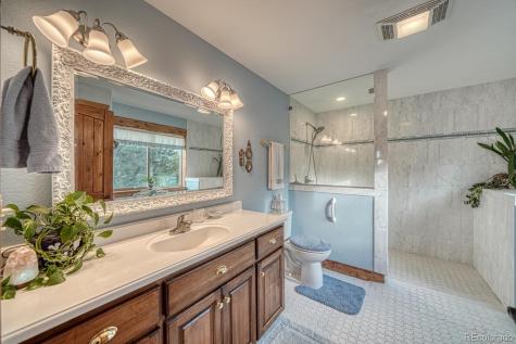 15550 Silver Tip Court Buena Vista CO 81211