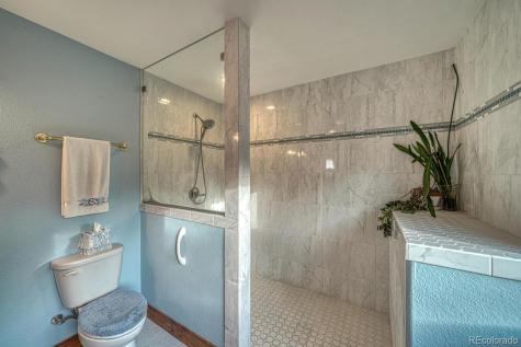 15550 Silver Tip Court Buena Vista CO 81211