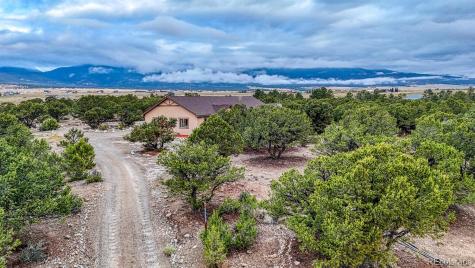 15550 Silver Tip Court Buena Vista CO 81211