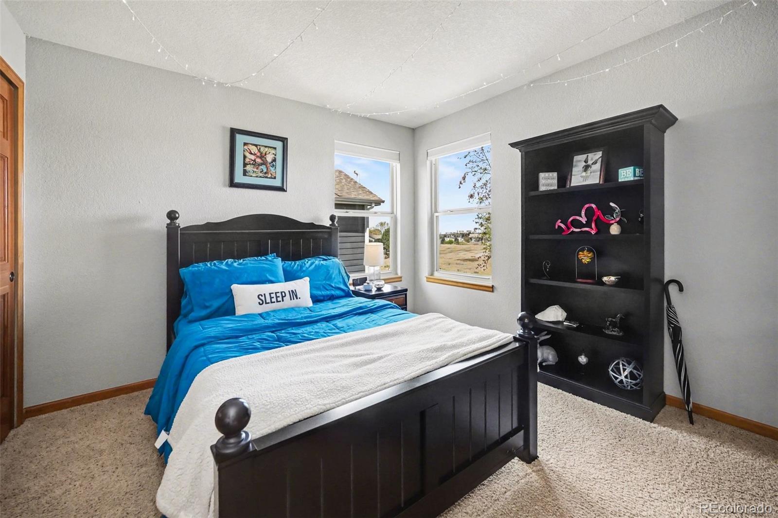 8872 Chestnut Hill Lane Highlands Ranch CO 80130