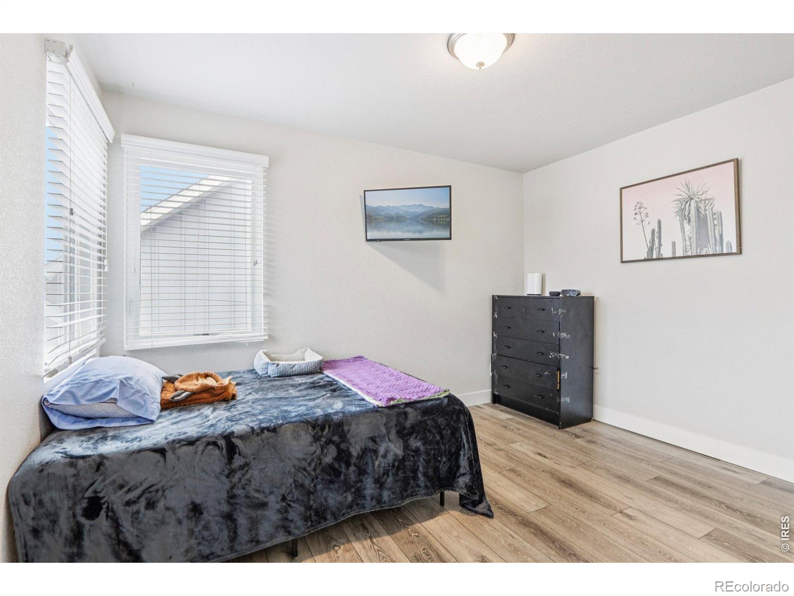 3220 Picasso Drive Loveland CO 80538