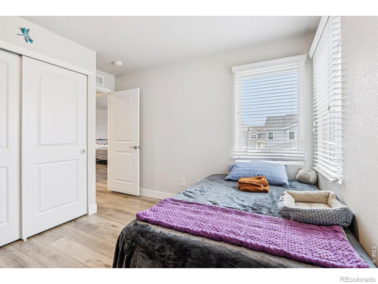 3220 Picasso Drive Loveland CO 80538