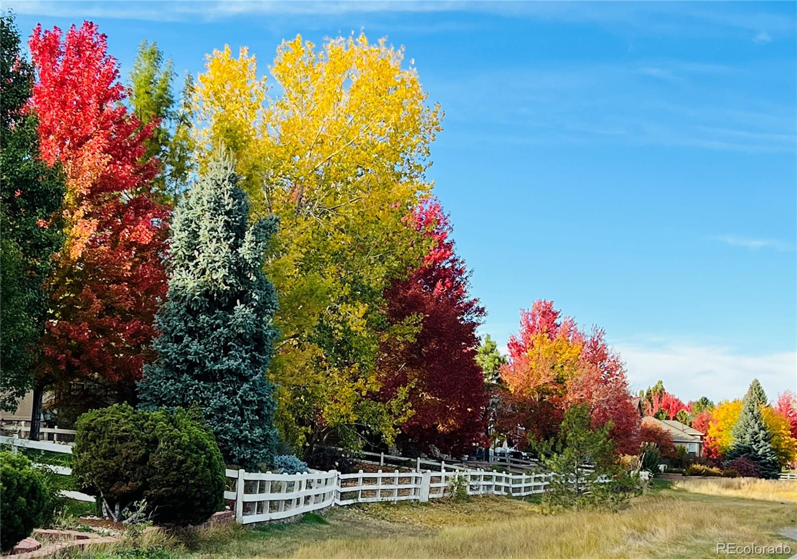 14090 Turnberry Court Broomfield CO 80023