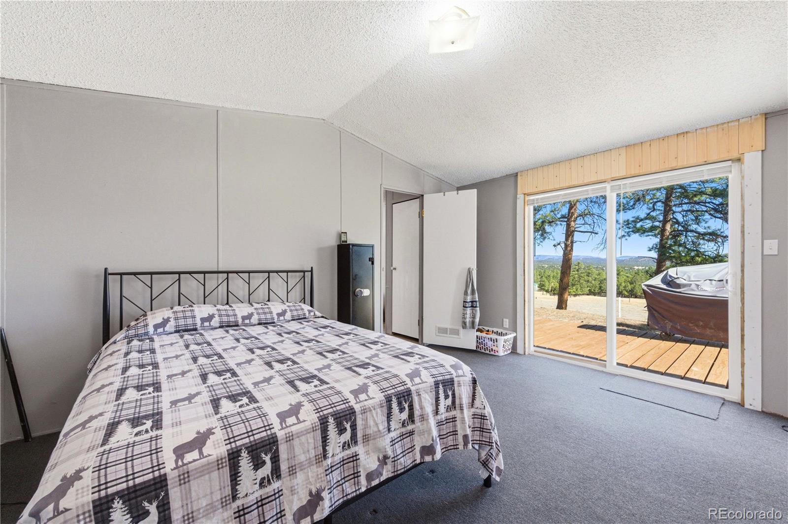987 14th Trail Cotopaxi CO 81223