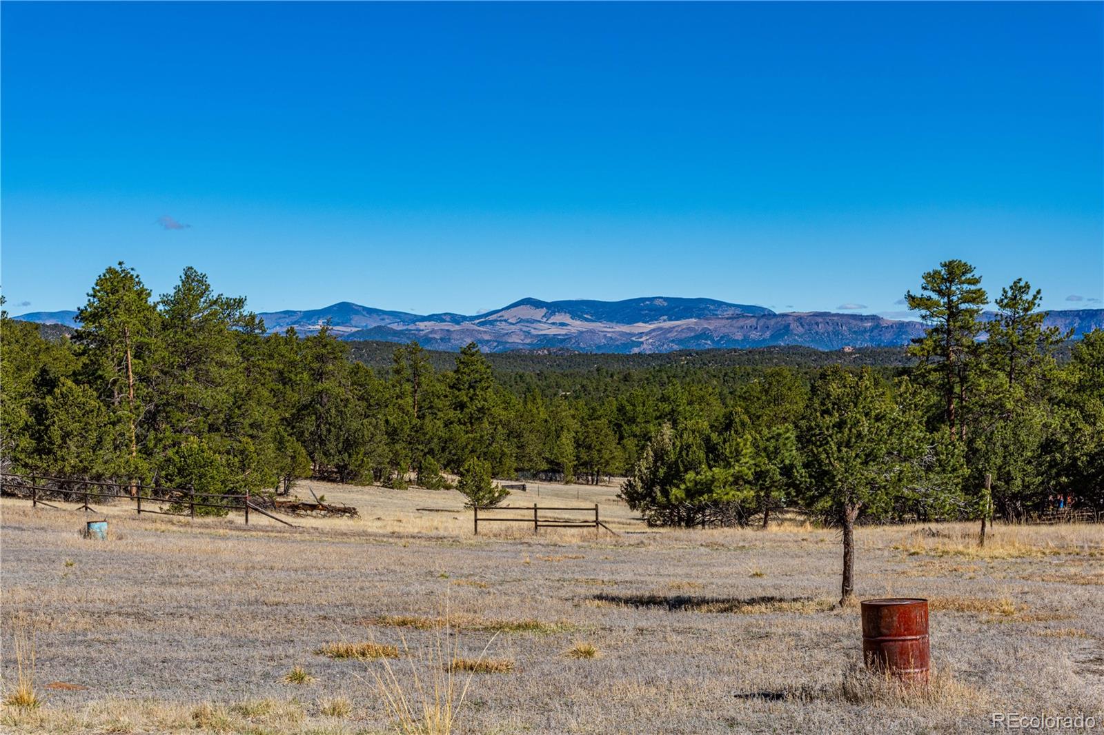 987 14th Trail Cotopaxi CO 81223