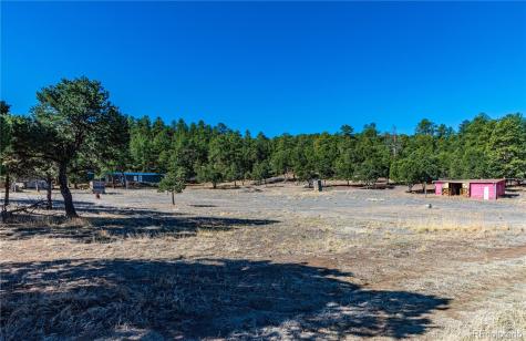 987 14th Trail Cotopaxi CO 81223
