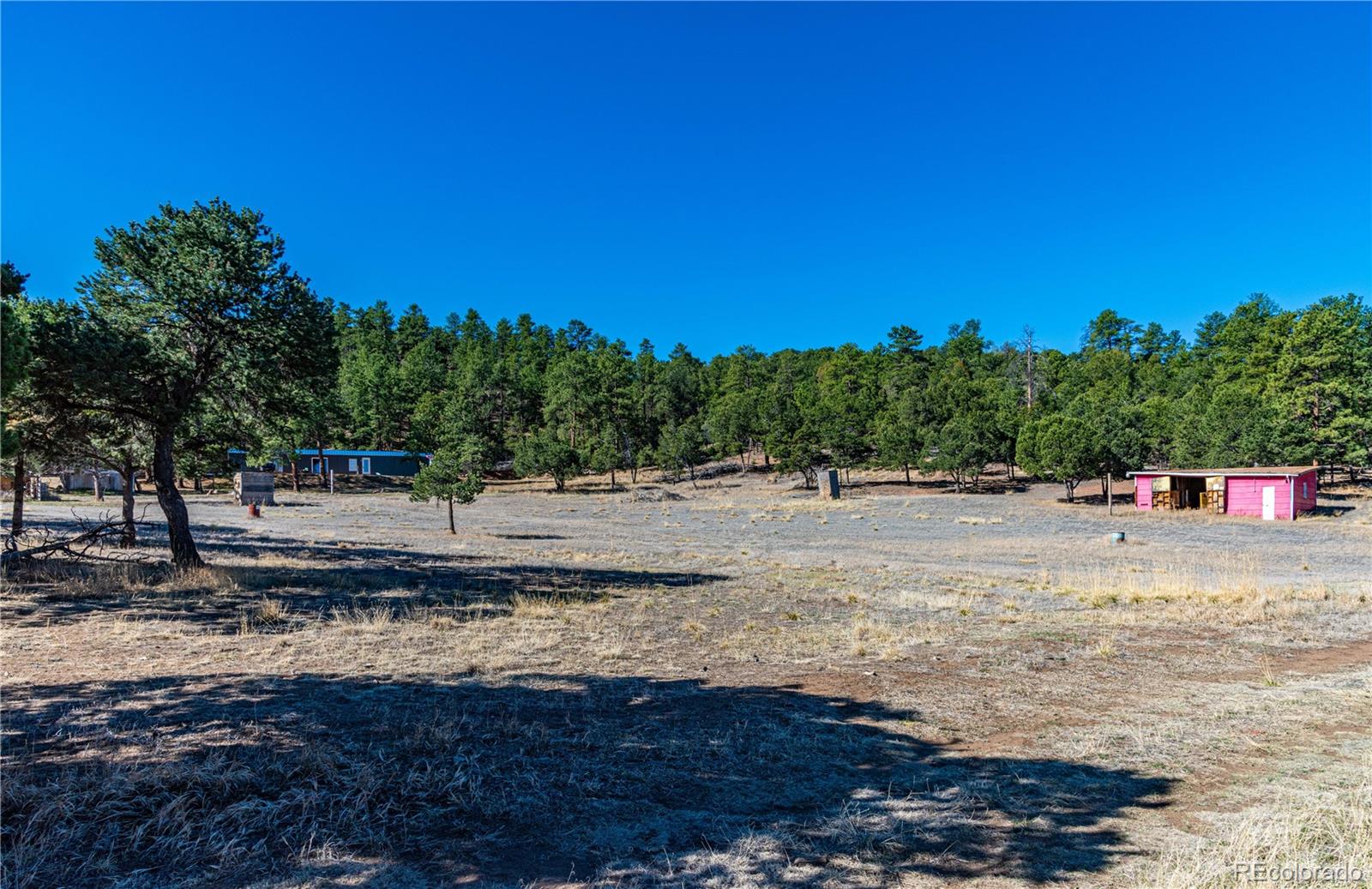 987 14th Trail Cotopaxi CO 81223