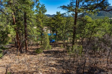 987 14th Trail Cotopaxi CO 81223