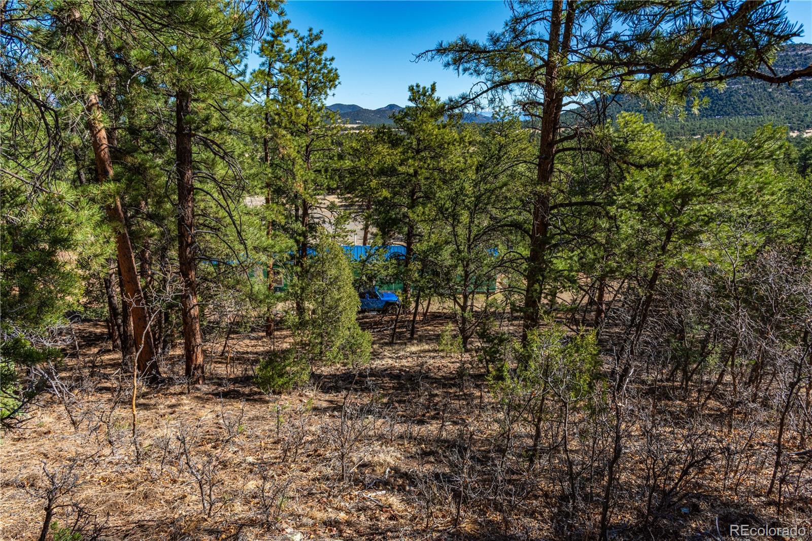 987 14th Trail Cotopaxi CO 81223