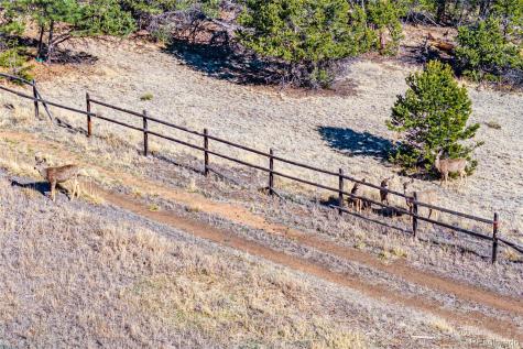 987 14th Trail Cotopaxi CO 81223