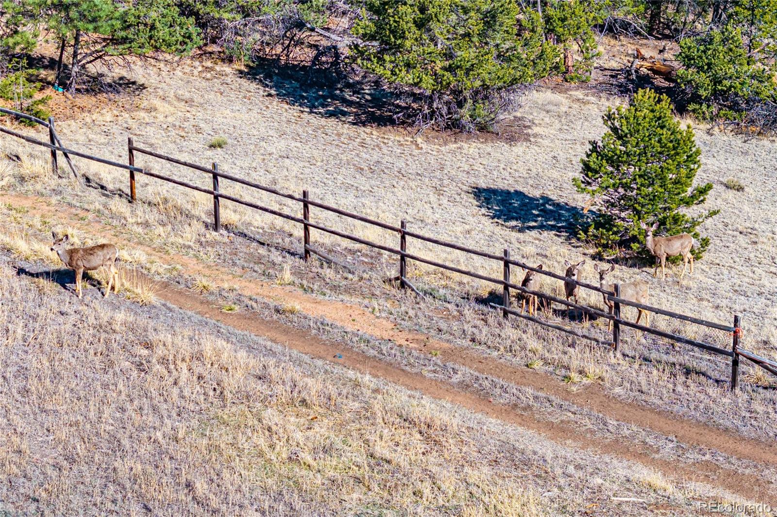 987 14th Trail Cotopaxi CO 81223