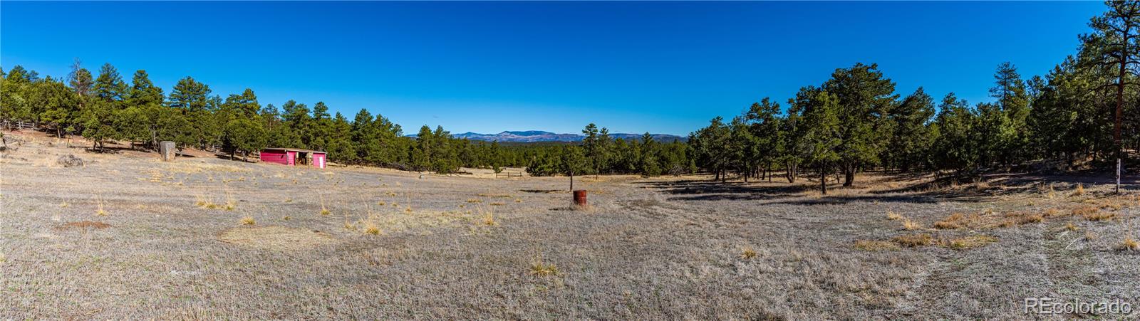 987 14th Trail Cotopaxi CO 81223