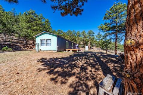 987 14th Trail Cotopaxi CO 81223