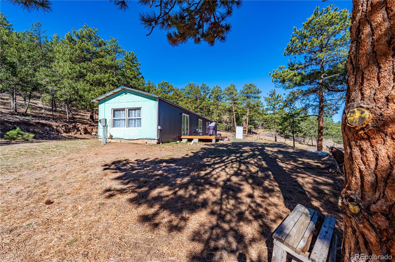 987 14th Trail Cotopaxi CO 81223