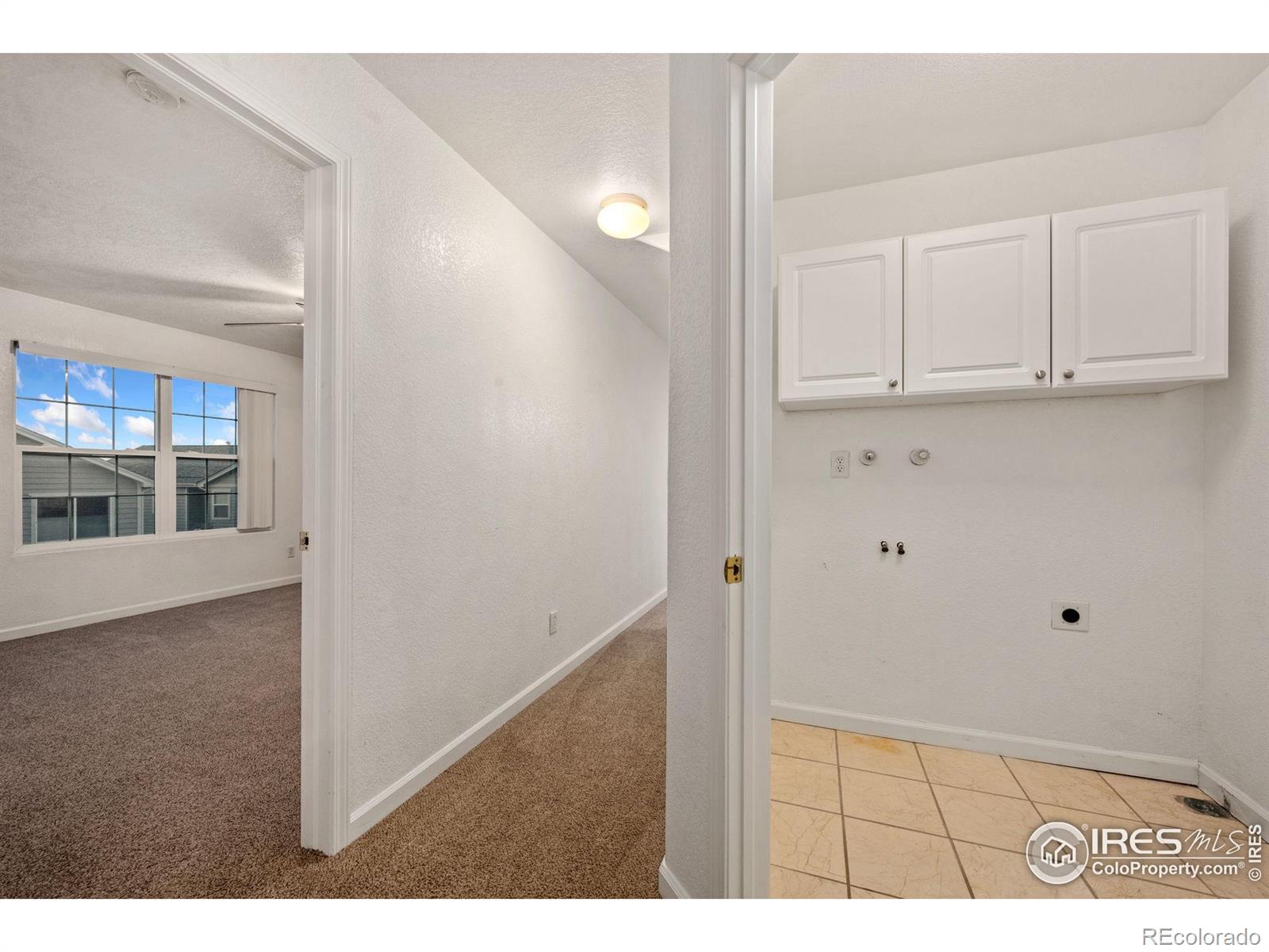 3316 Barbera Street Evans CO 80634