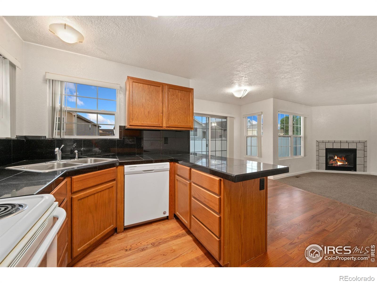 3316 Barbera Street Evans CO 80634