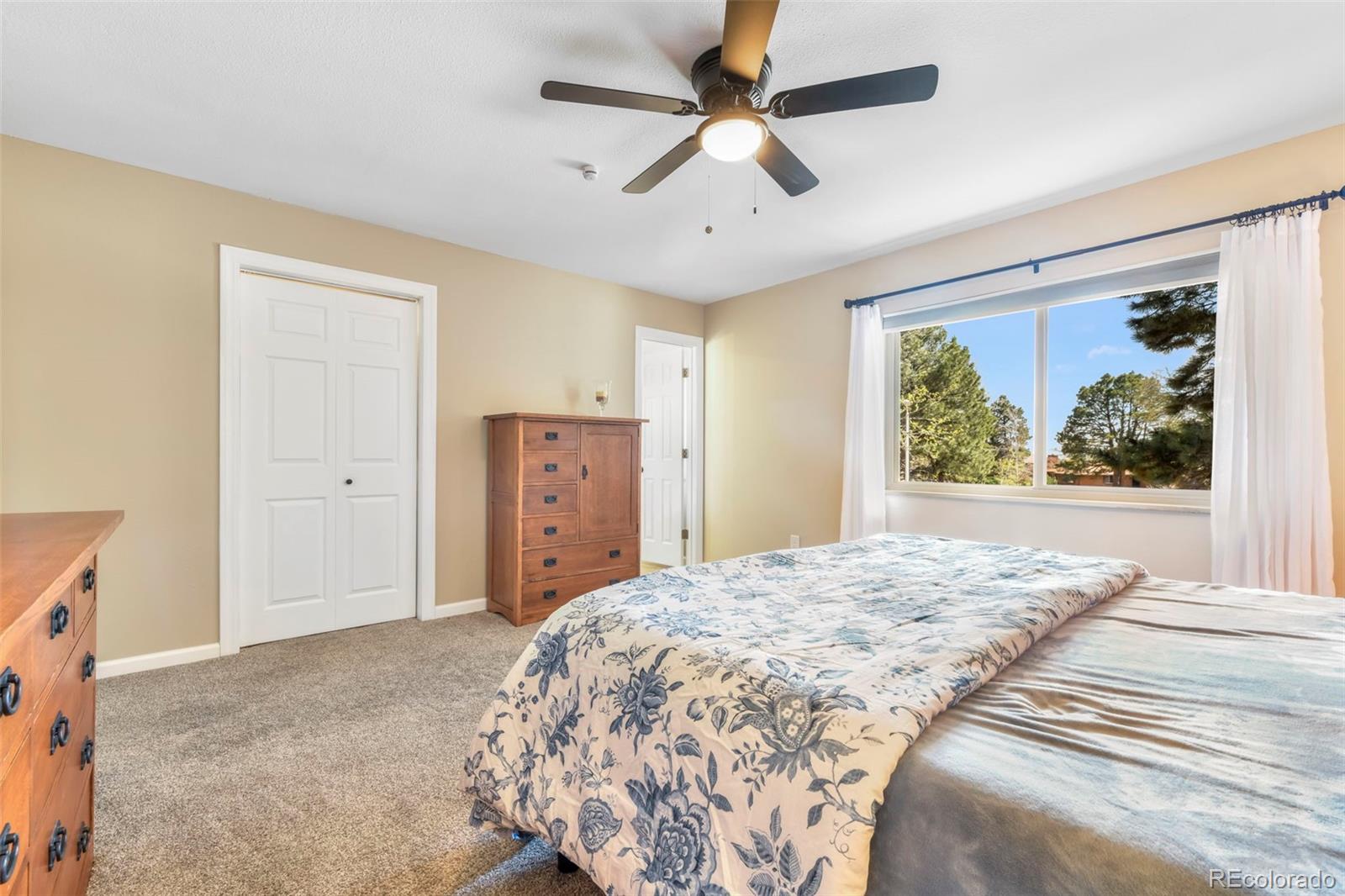 3826 Nuevo Drive Colorado Springs CO 80918