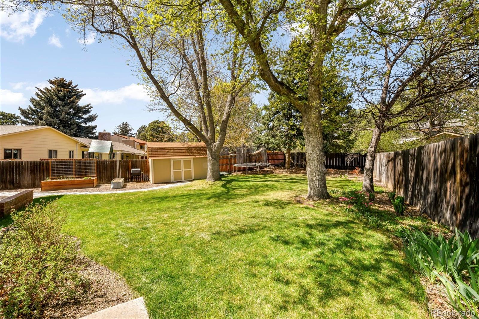 3826 Nuevo Drive Colorado Springs CO 80918