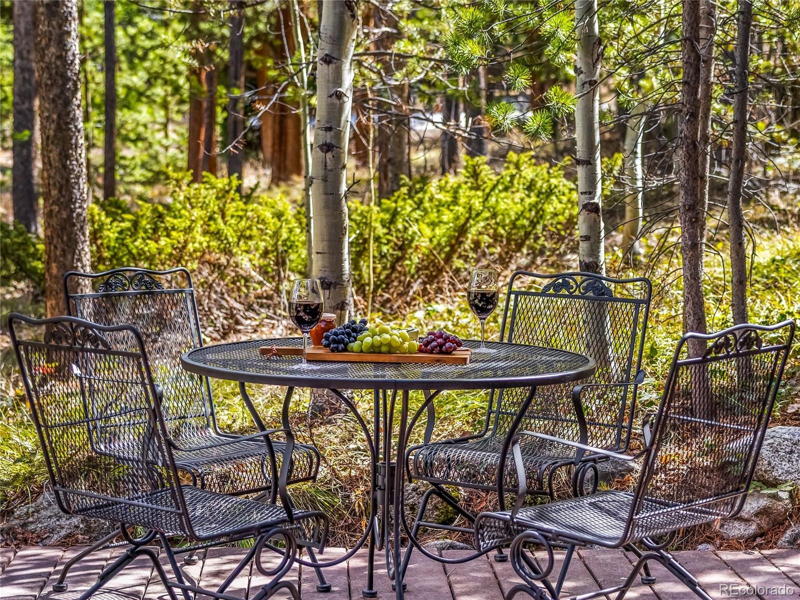 1793 Falcon Drive Silverthorne CO 80498