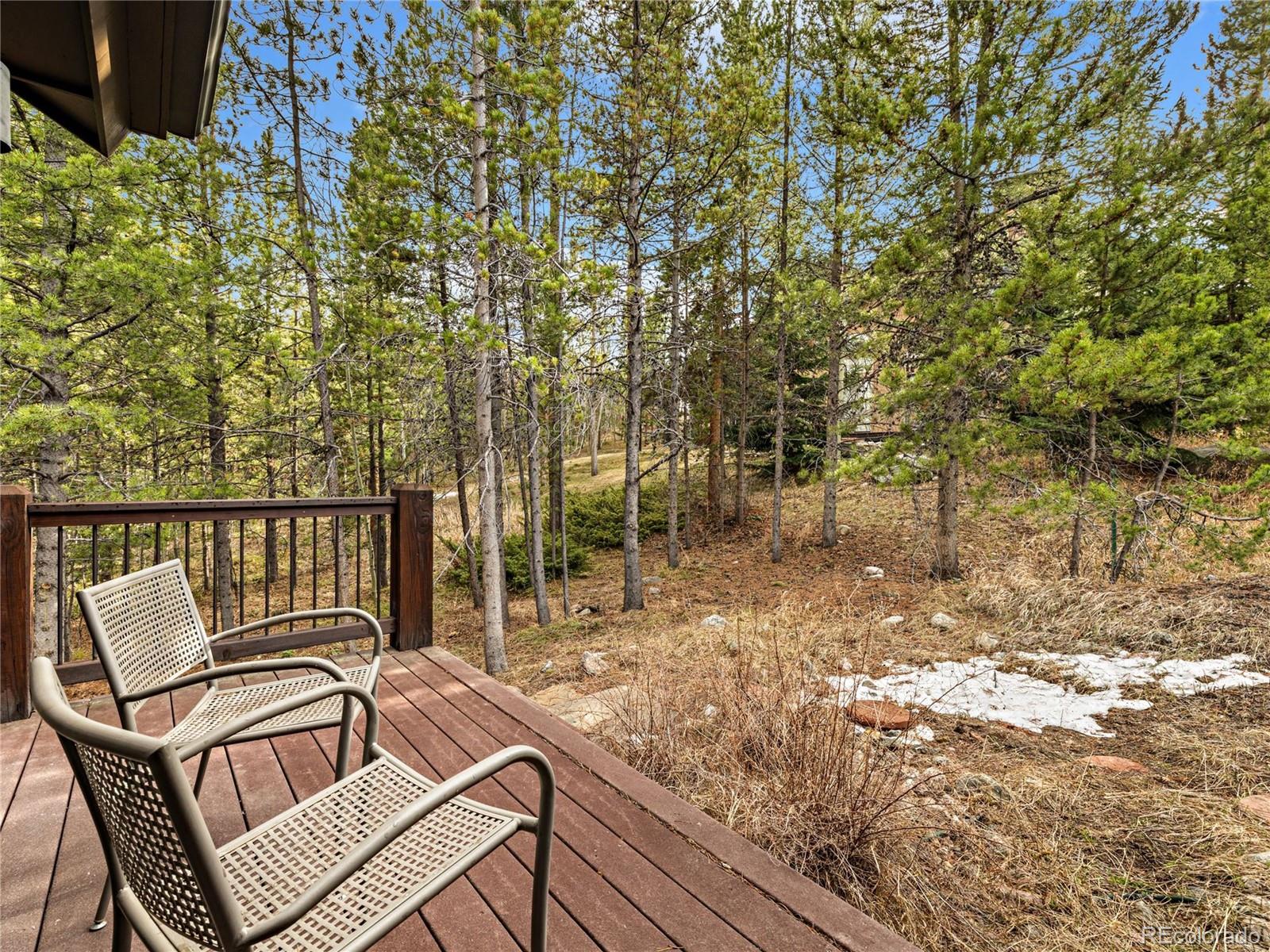 1793 Falcon Drive Silverthorne CO 80498