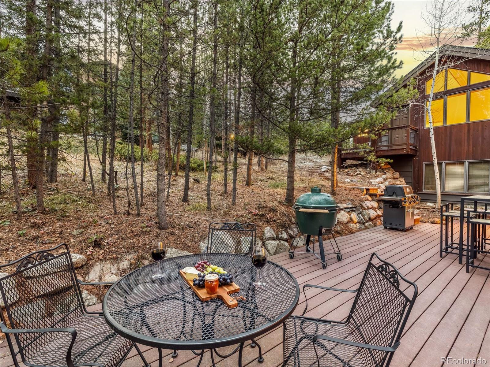 1793 Falcon Drive Silverthorne CO 80498