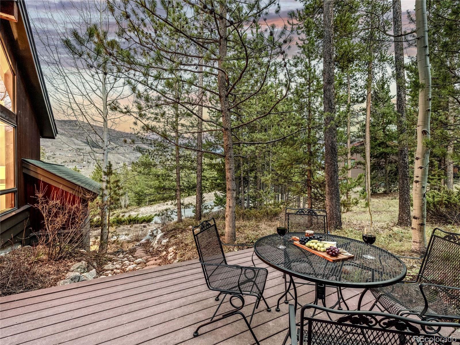 1793 Falcon Drive Silverthorne CO 80498