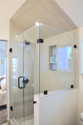 1310 Silver Vault Street Leadville CO 80461