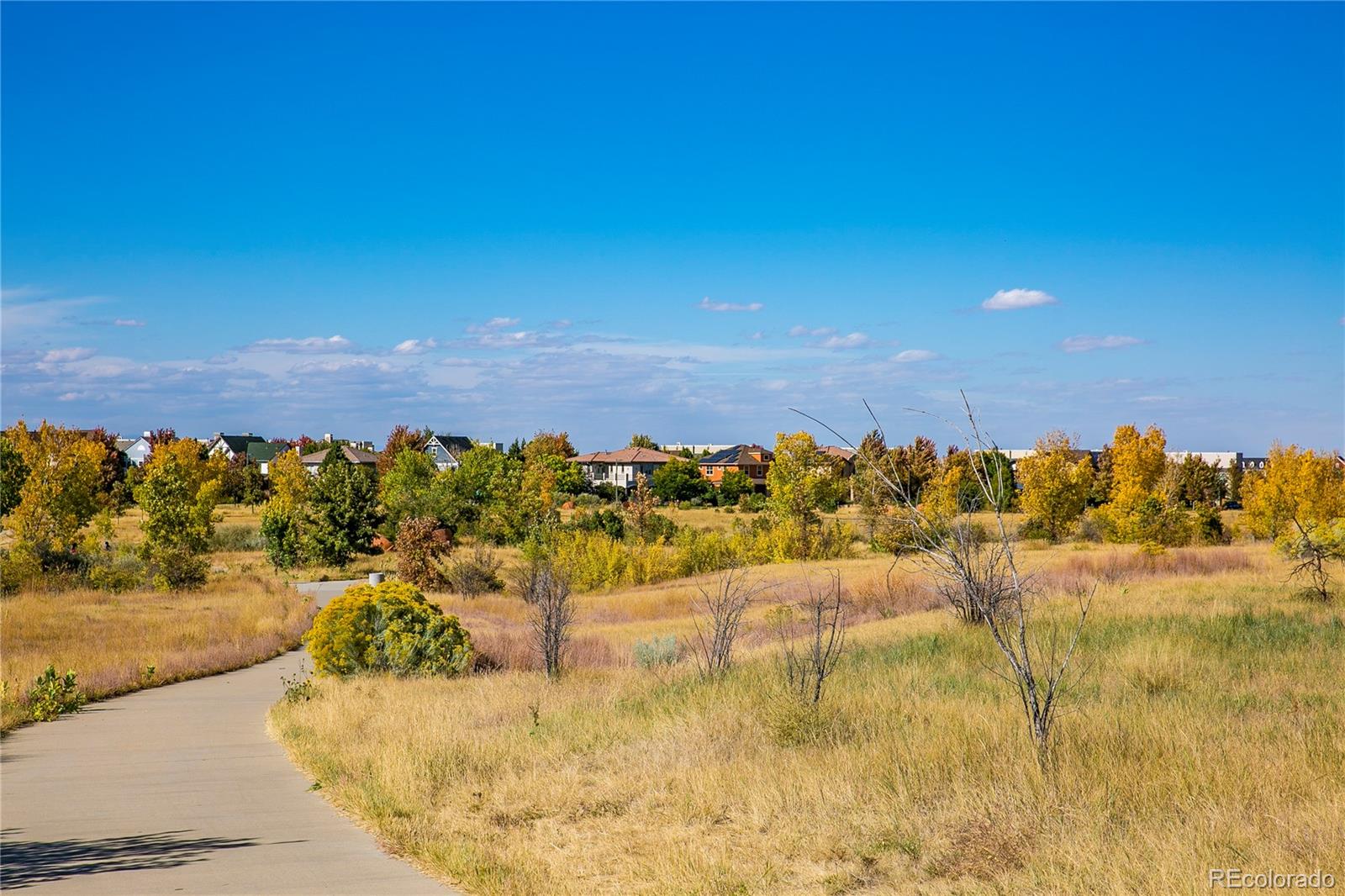 8345 E 22nd Avenue Denver CO 80238