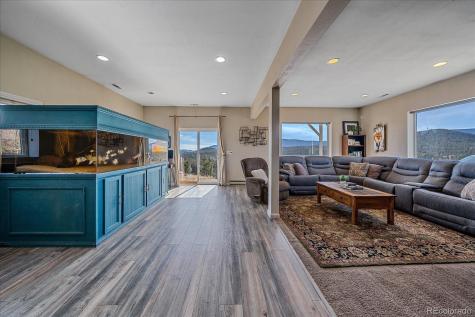 147 Overlook Drive Bailey CO 80421
