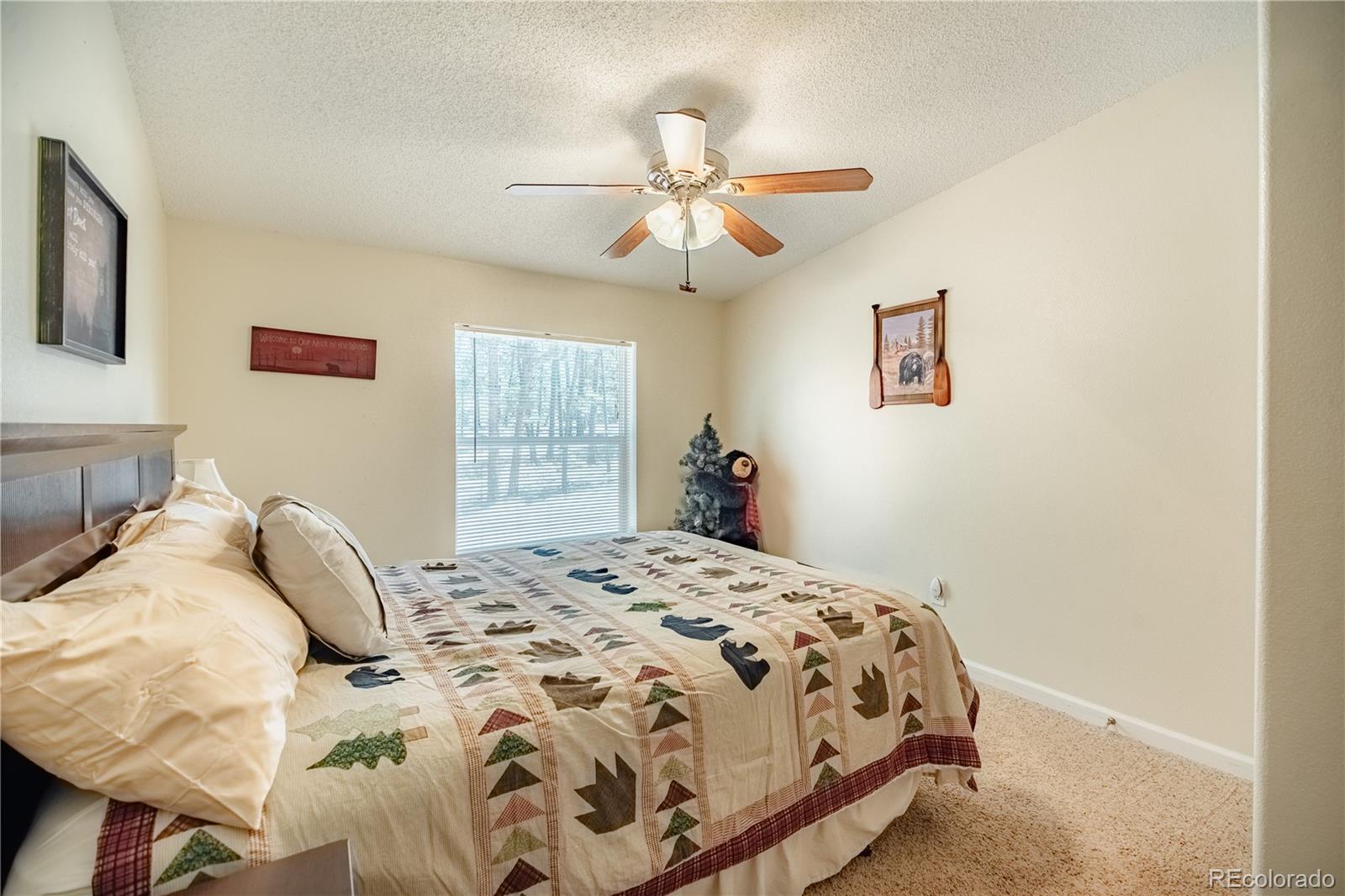 2675 Pikes Peak Drive Florissant CO 80816