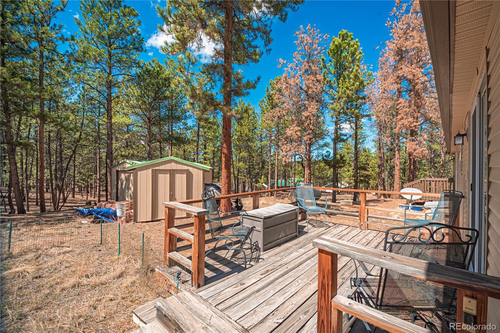 2675 Pikes Peak Drive Florissant CO 80816
