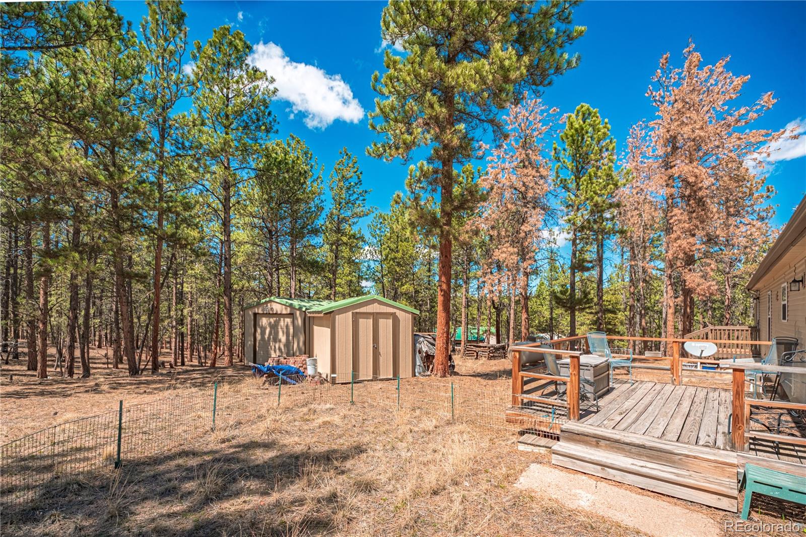2675 Pikes Peak Drive Florissant CO 80816
