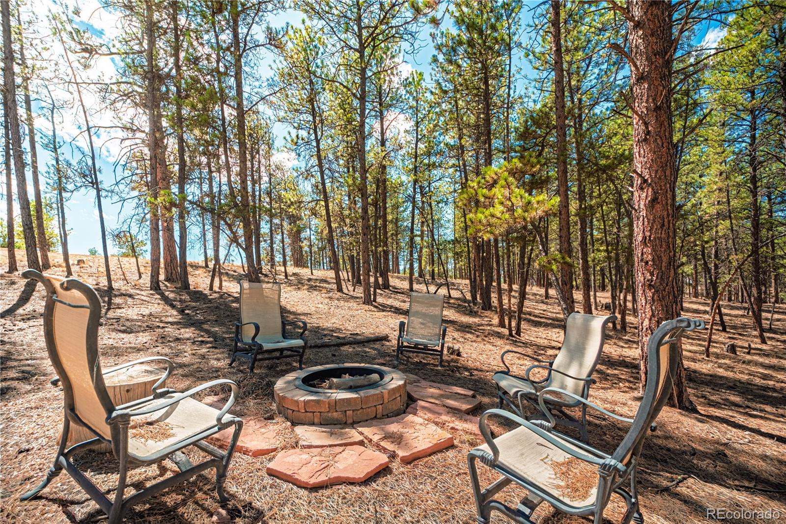 2675 Pikes Peak Drive Florissant CO 80816