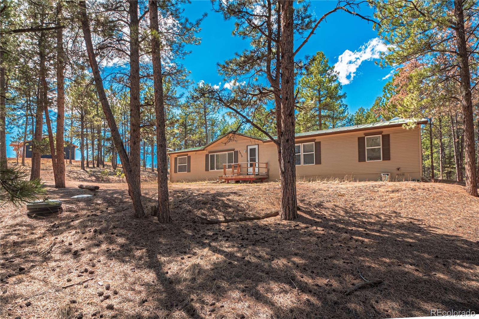 2675 Pikes Peak Drive Florissant CO 80816