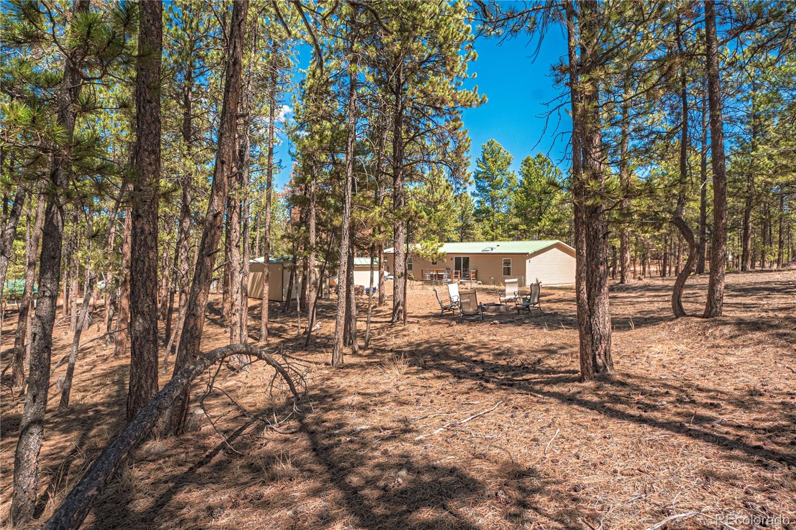 2675 Pikes Peak Drive Florissant CO 80816