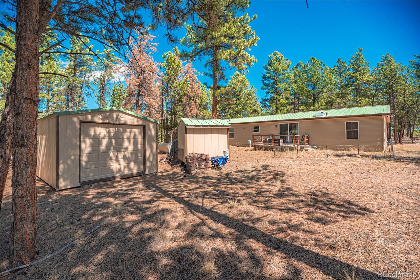 2675 Pikes Peak Drive Florissant CO 80816