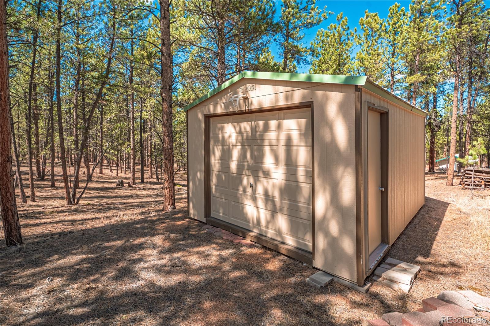 2675 Pikes Peak Drive Florissant CO 80816