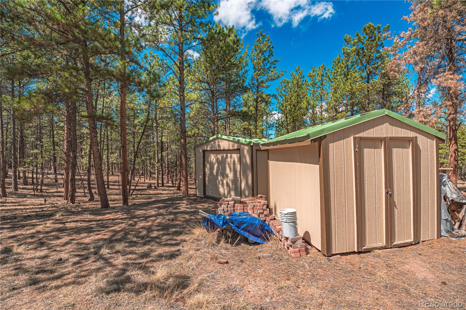 2675 Pikes Peak Drive Florissant CO 80816
