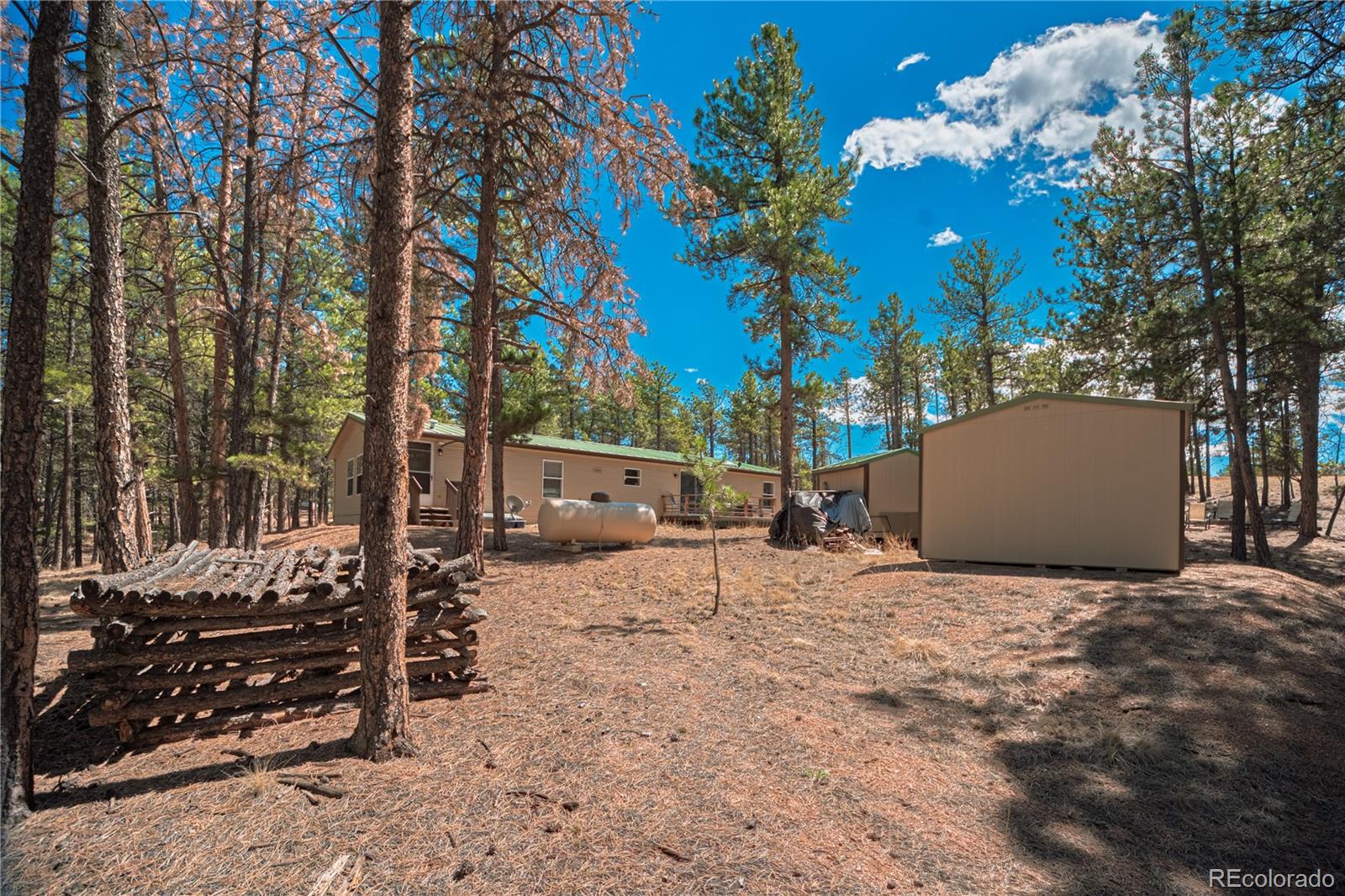 2675 Pikes Peak Drive Florissant CO 80816